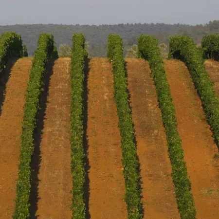 Casa de Férias Piccolo Borgo Toscano Relax